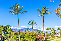 Palms at Wailea 1703