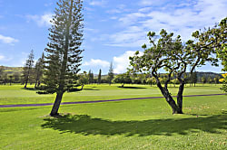 Kuilima Estates West 120