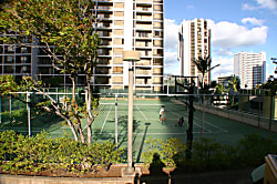 Waikiki Banyan 2513