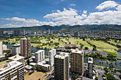 Waikiki Banyan 2513