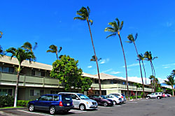 Shores of Maui Resort