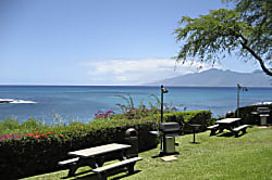 Napili Point Rental