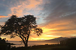 Napili Point Rental