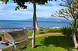 Sea Turtle Cove at Napili Point