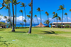 Napili Shores Resort G155