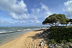 Kauai Kailani Studio