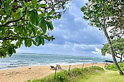 Kauai Kailani 1-Bedroom Studio