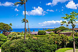 Ka'anapali Plantation 54