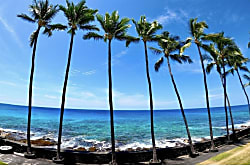 Magic Sands Ocean Front Condo