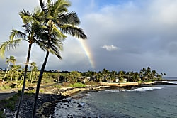 Kuhio Shores Condo