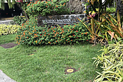 Waikiki 34th Floor Studio