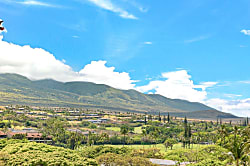 The Whaler 707 - Luxurious Oceanview Suite