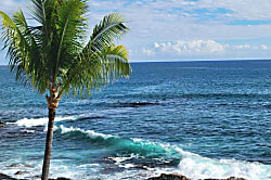 Kona Reef Resort D-36 
