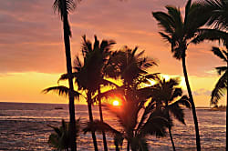 Kona Reef Resort D-36 