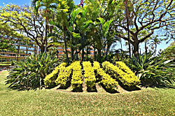 Maui Kaanapali Villas B242