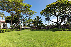 Surf & Racquet Club #24