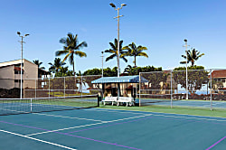 Surf & Racquet Club #24