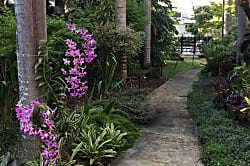 Prince Kuhio Condos Poipu - Ground Floor Unit