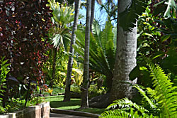 Prince Kuhio Condos Poipu - Ground Floor Unit