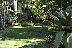 Prince Kuhio Condos Poipu - Ground Floor Unit