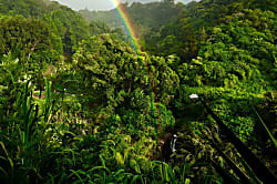 Sacred Garden Retreat