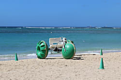 Hawaiian King Modern #112