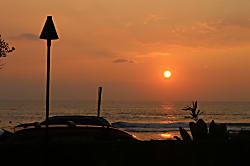 Royal Kahili Unit A-306