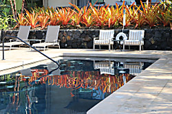 Royal Kahili Unit A-306