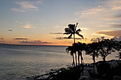 Napili Point Resort Unit C25