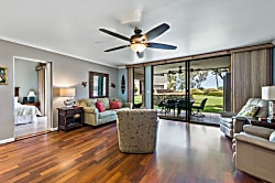 Waikoloa Hideaway- D100