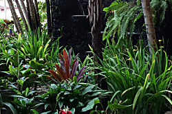 Menehune Shores #203