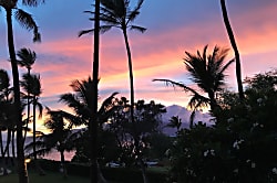 Menehune Shores #203