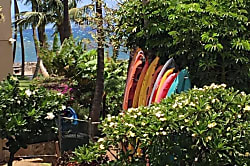 Kihei Bay Surf #254