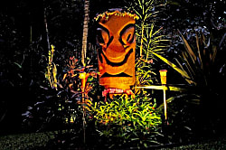 Tiki Hut