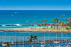 Ilikai Collection #1341