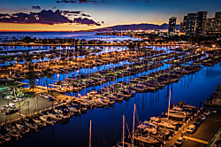 Ilikai Collection #1341