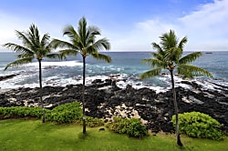 Kona Reef Oceanfront D32