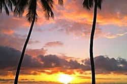 Kona Surf Racquet Club Townhouse 1