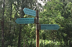 Turtle Bay Condo Unit 99