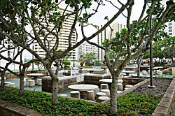 Waikiki Banyan Condo Rental