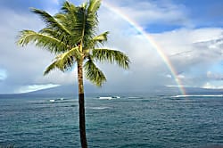 Pohailani Oceanfront Studio