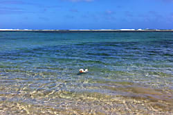 Hale Aloha Beachfront Estate 