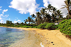 Hale Aloha Beachfront Estate 