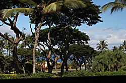 The Palms at Wailea 2001