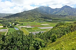 Hanalei Bay Honeymoon Rental