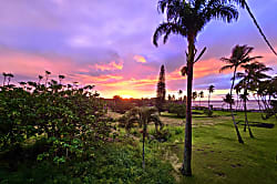 Prince Kuhio Studio 335