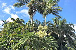 Aloha Hookipa Bayview Cottage
