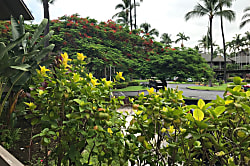 Kanaloa at Kona,  Condo #3501