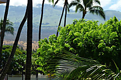 Kihei Akahi 1BD