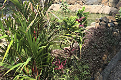 Tropical Beach Get Away